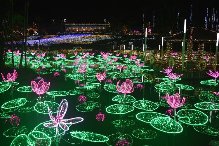 Expert Opinion: Five Must-See Light Displays in Japan