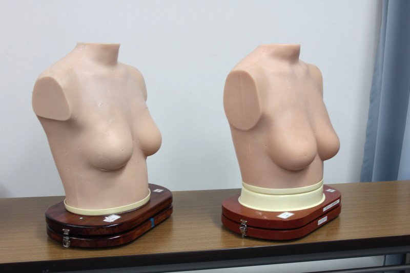 Modelos de busto a los 20-29 años (izquierda) y a los 40-49 años (derecha), basados en las mediciones de la investigación. Los modelos reflejan tanto la forma como el tono, y se observa que el pecho de 40-49 años está notablemente caído.