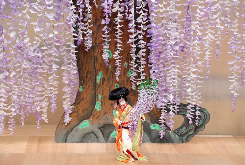 “旦角”片岡孝太郎表演歌舞伎中的舞蹈《藤娘》（图片提供：松竹株式会社）