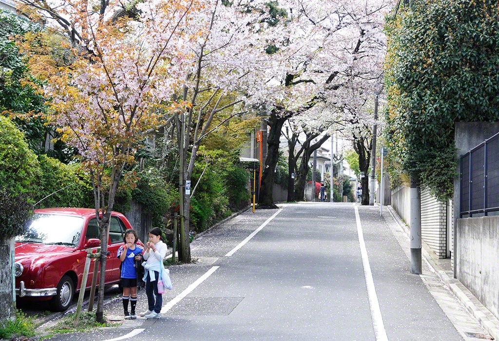 Seijô, Setagaya-ku, Tokyo