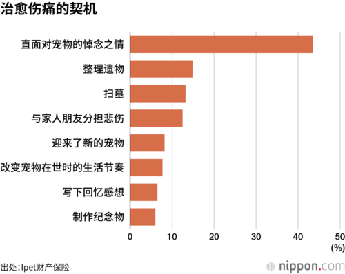治愈伤痛的契机