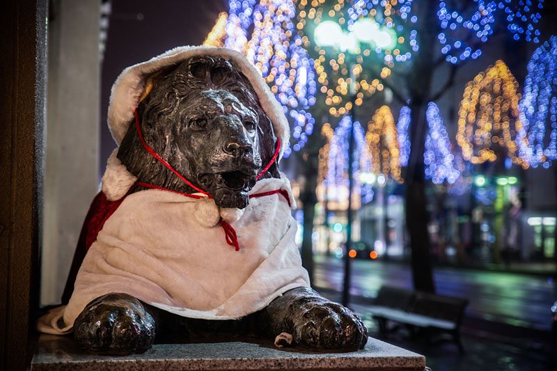 La iluminación blanca de Sapporo: el romanticismo de la ciudad invernal