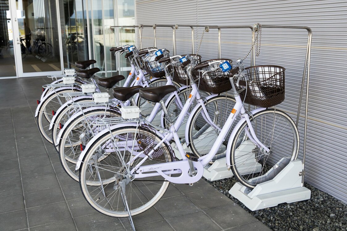 The bicycle-sharing dock outside F-BICC.