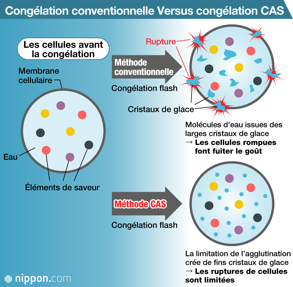 « La machine temporelle du goût » : une technologie nippone révolutionne la conservation des aliments