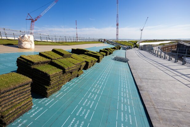 在“环形空中步道”上,也在进行草坪铺设工作