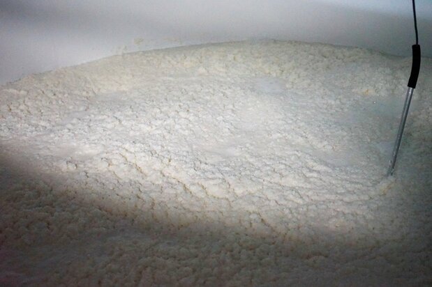 Le début du processus de moromi (fermentation du moût). La levure consomme du sucre pour créer de l’alcool et du dioxyde de carbone, ce qui produit un bruit lorsque les bulles remontent à la surface.