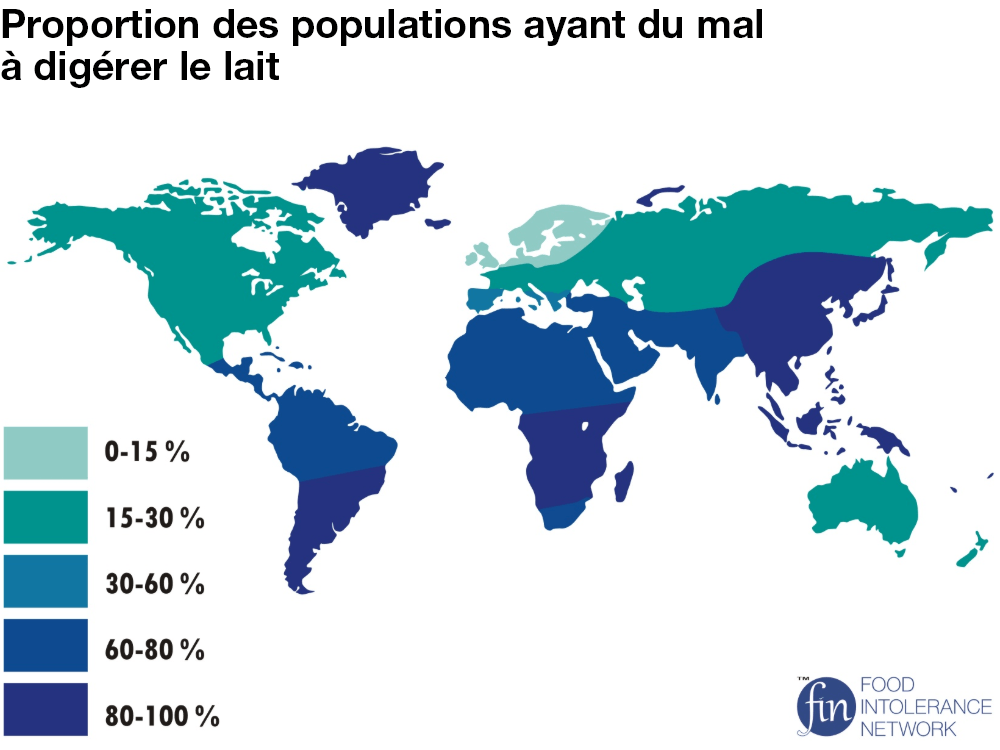 Plus la couleur est foncée, plus l’intolérance au lactose chez les adultes de la région concernée est importante.