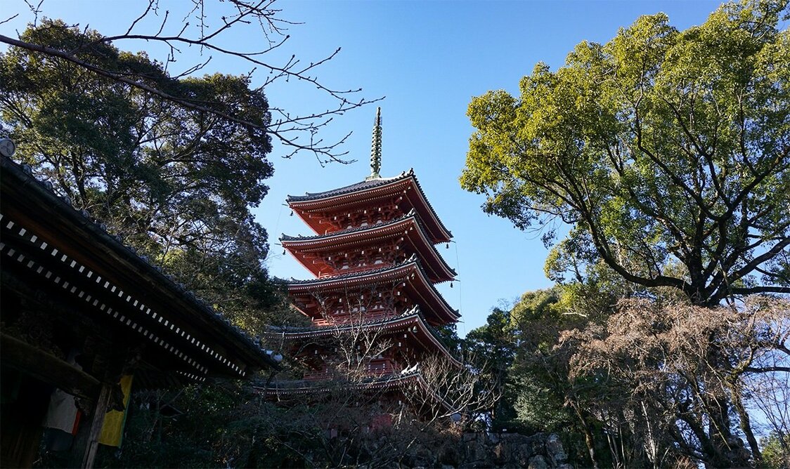 Chikurinji. (© Gianni Simone)