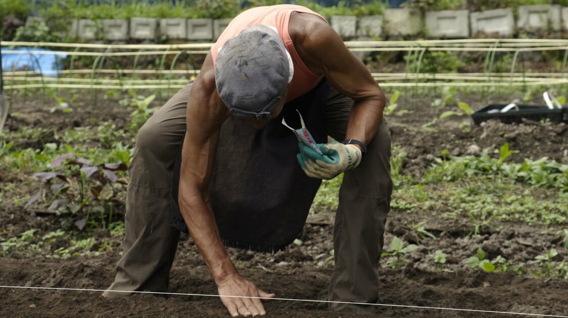 At the age of 40, with the aim of maintaining his physique for dancing, Tanaka set up a farm in Yamanashi Prefecture near the base of Mount Fuji. (© 2021 The Unnamable Dance Film Committee)