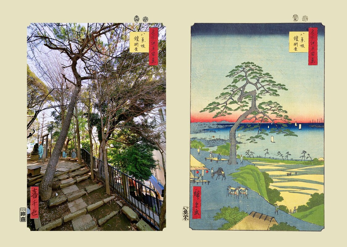『八景坂鎧掛松』：浮世写真家 喜千也の「名所江戸百景」第42回