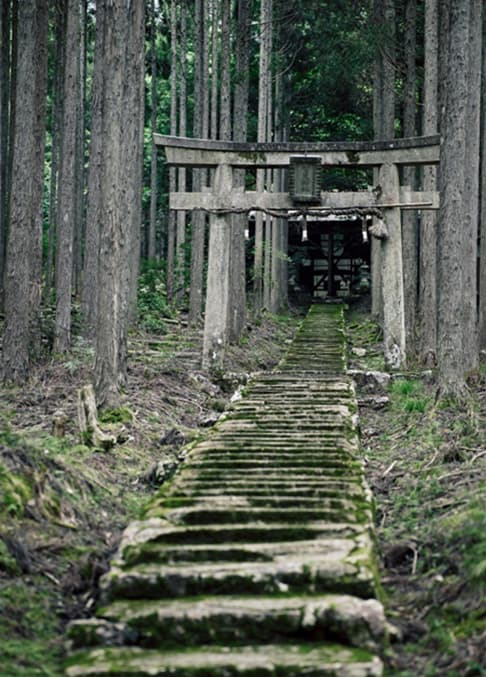 贺茂神社的参道（提供：KyoLens）