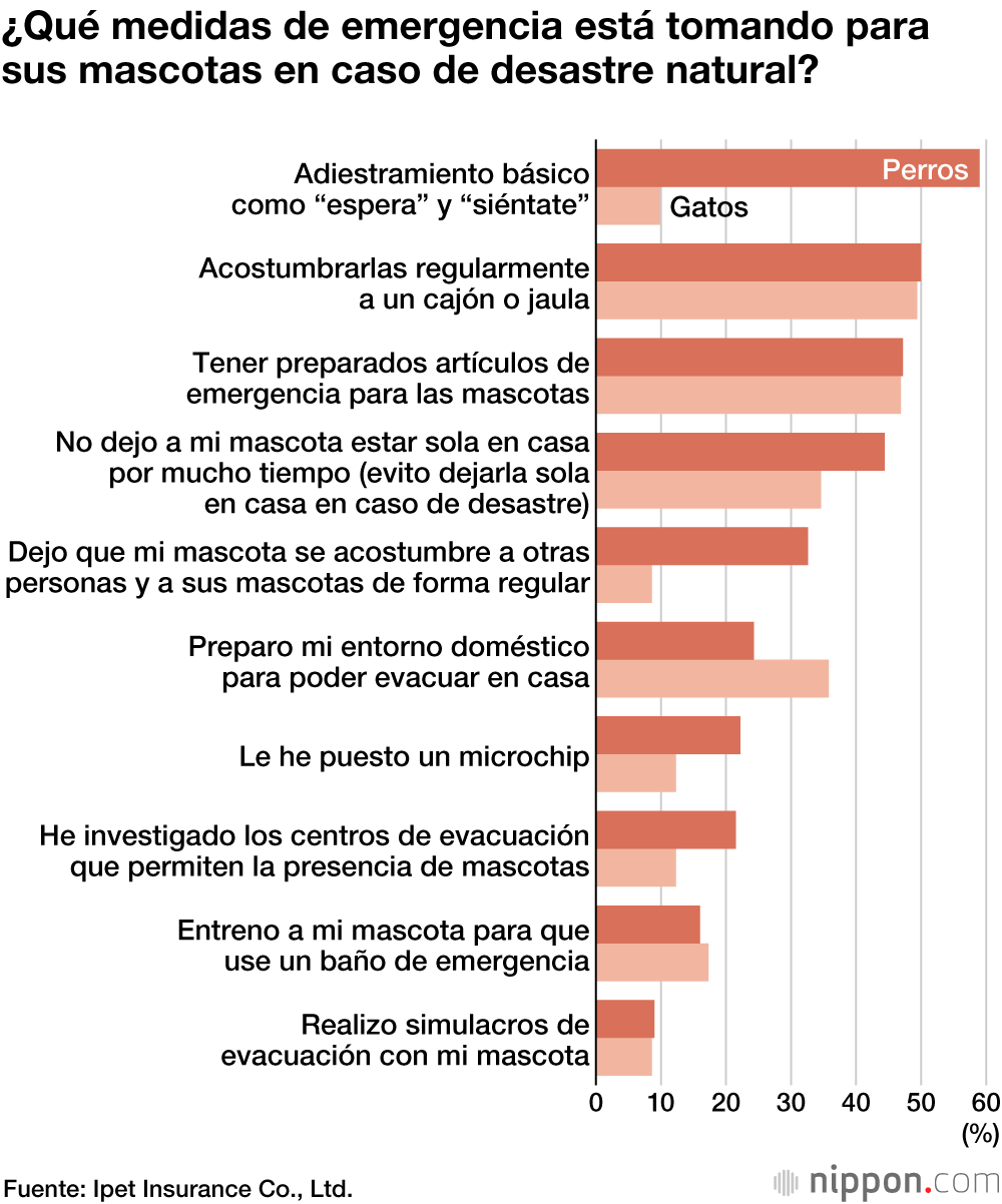 Solo el 20 % de los japoneses toma medidas preventivas para sus mascotas en caso de desastre