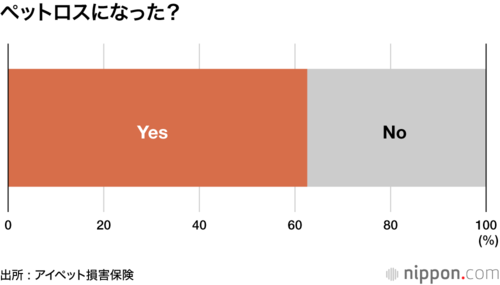 ペットロスになった?