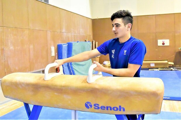 Alsouliman training for the pommel horse.