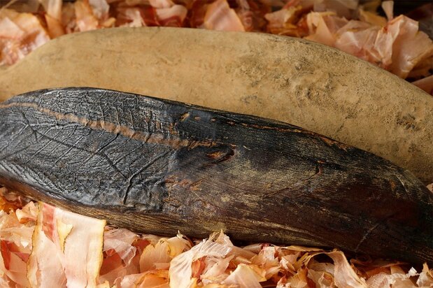 The charred-looking object in the foreground is arabushi, with the powdery karebushi behind. (© Pixta)