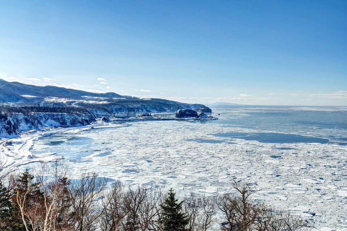 海面が流氷に覆われた冬のプユニ岬
