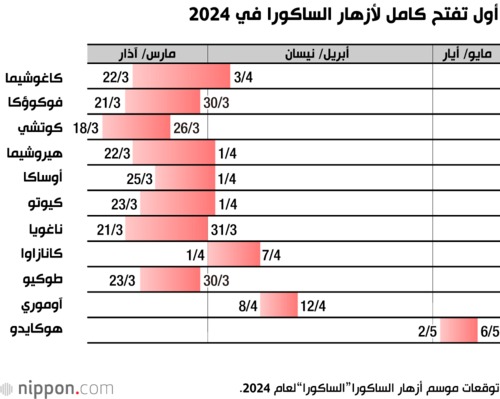 أول تفتح كامل لأزهار الساكورا في 2024