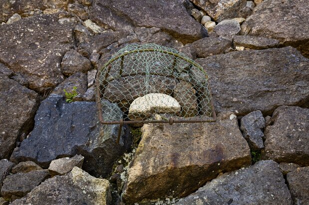 The famed ubagaishi stone sets in its place of honor.