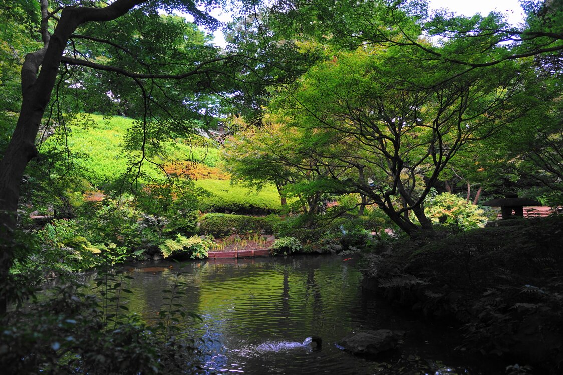 池田山公園は摺鉢状に作られた庭園で、池を見下ろすことができる（PIXTA）