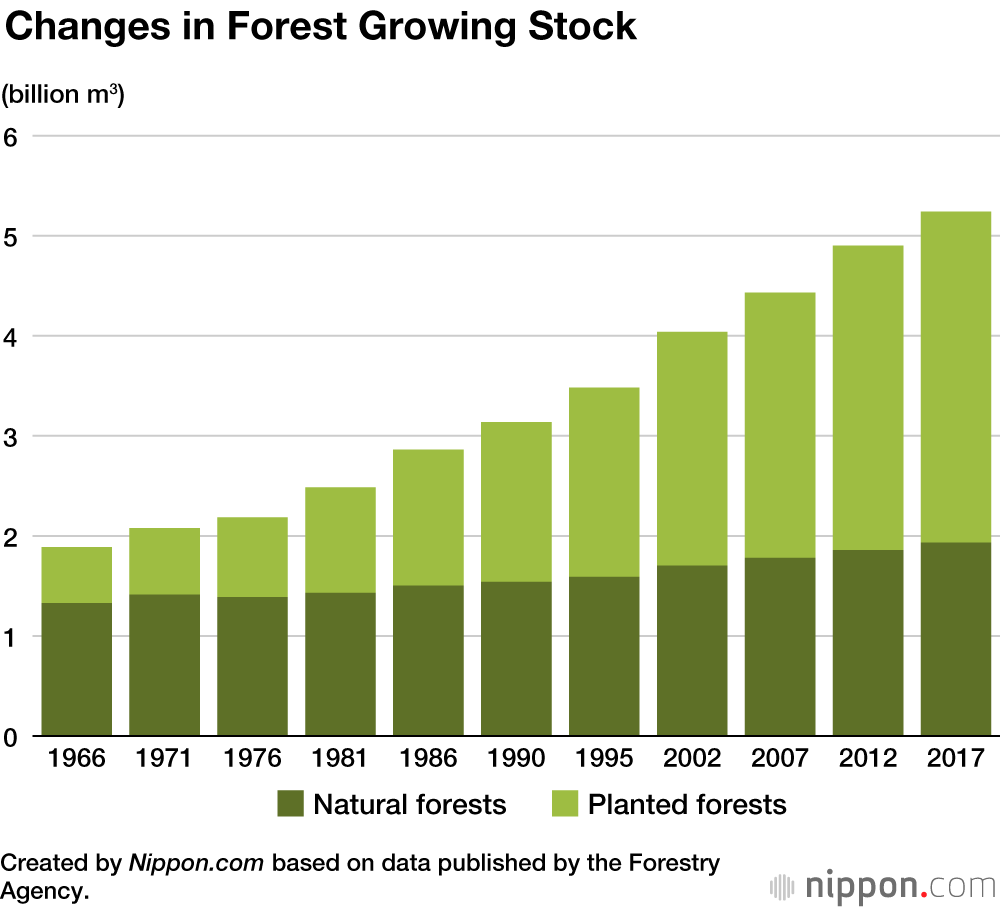 Japan’s Forest Resources Triple Over 50 Years