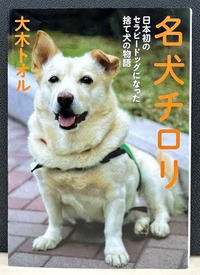 Portada del libro Meiken Chirori, de Ōki Tōru.