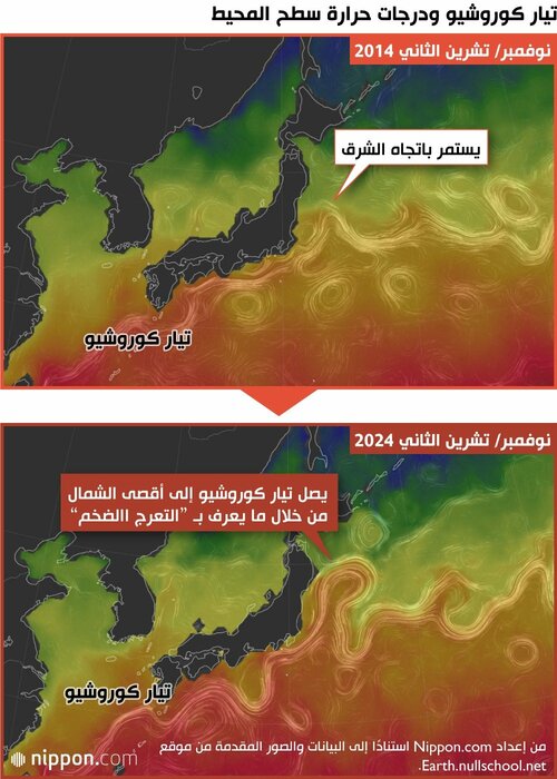 تيار كوروشيو ودرجات حرارة سطح المحيط