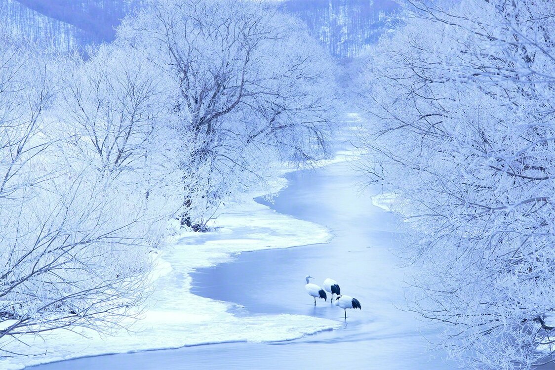 氷点下27℃、寒さに耐え朝を迎える（1月）