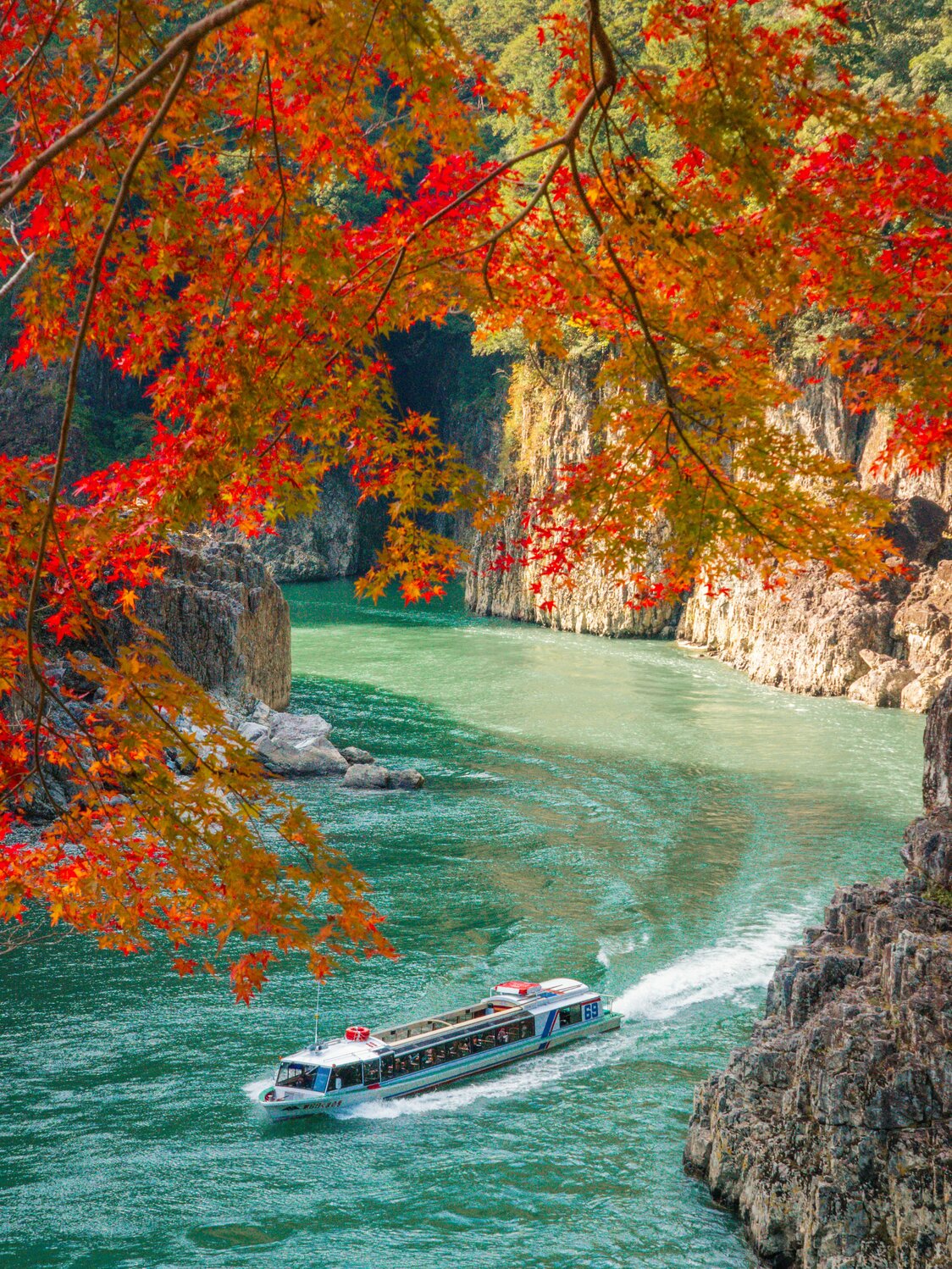 紅葉の瀞峡を進むウォータージェット船　写真提供：公益社団法人 和歌山県観光連盟