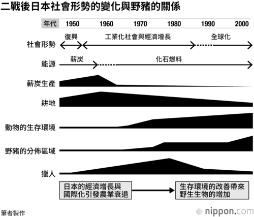 由於二戰後的能源革命和農民棄耕等原因,野豬的棲息地增加,其分佈區域迅速恢復