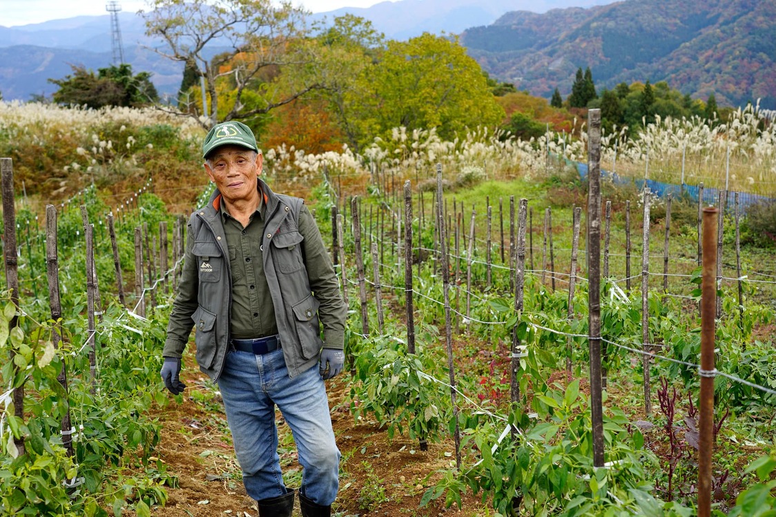 Imai Shirō en un campo de tenkū no tōgarashi. (© Ukita Yasuyuki)