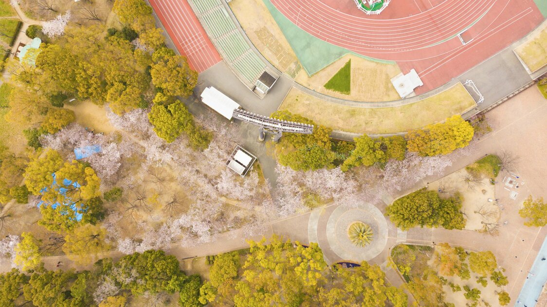 从空中俯瞰“纪念森林”。樱花季节还可以在美丽的樱花树下慢跑