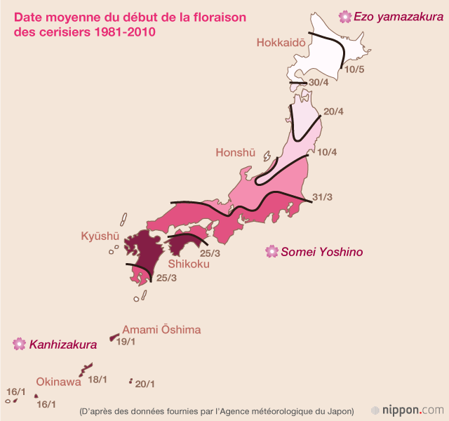 L’archipel des cerisiers