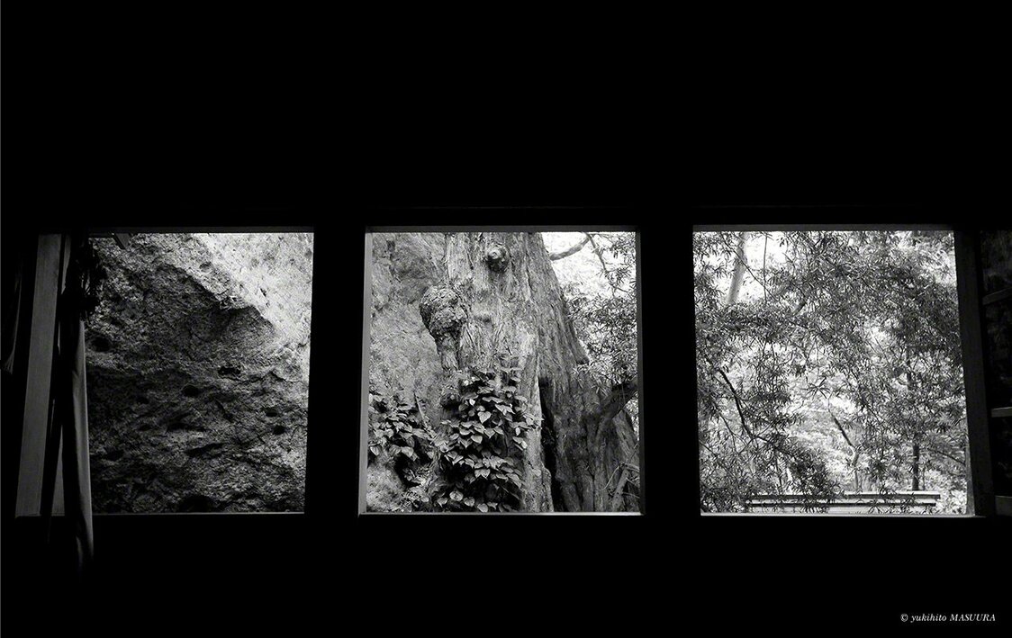 Une vue des rochers gigantesques et de la forêt vierge depuis l’intérieur de la salle de prière d’Okitsu-miya.