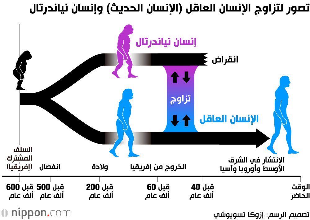 تصور لتزاوج الإنسان العاقل (الإنسان الحديث) وإنسان نياندرتال