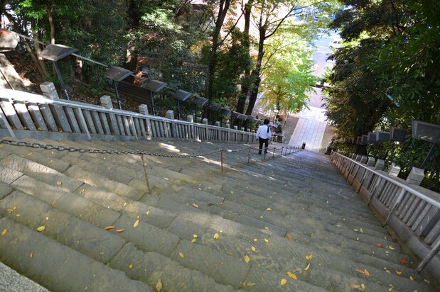 La famosa escalera del santuario de Atago cuenta con una cadena para agarrar, a medida que subimos los empinados escalones. (© nippon.com)