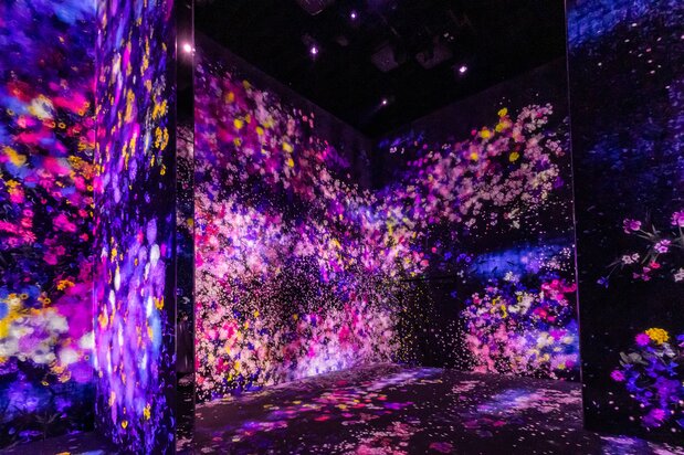 花々の風景が鑑賞者に影響されながら変化し続ける「花と人、コントロールできないけれども共に生きる」