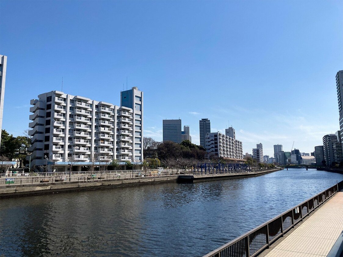 El canal Takahama fluye junto a los nuevos barrios residenciales al este de la estación de Shinagawa. (© Gianni Simone)