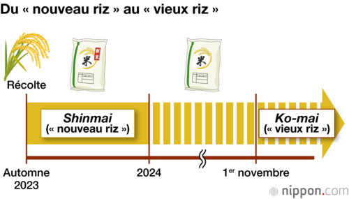 Du « nouveau riz » au « vieux riz »