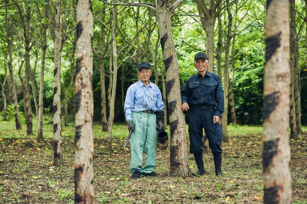 大子漆保存会的现任会长仁平良广(右)与第一任会长飞田祐造