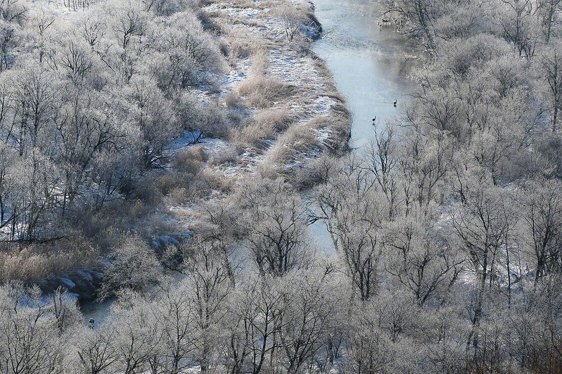 Les méandres du fleuve Setsuri à travers la zone humide de Kushiro. En hiver, les arbres le long du fleuve sont recouverts de neiges, créant des « monstres de glace » appelés juhyô