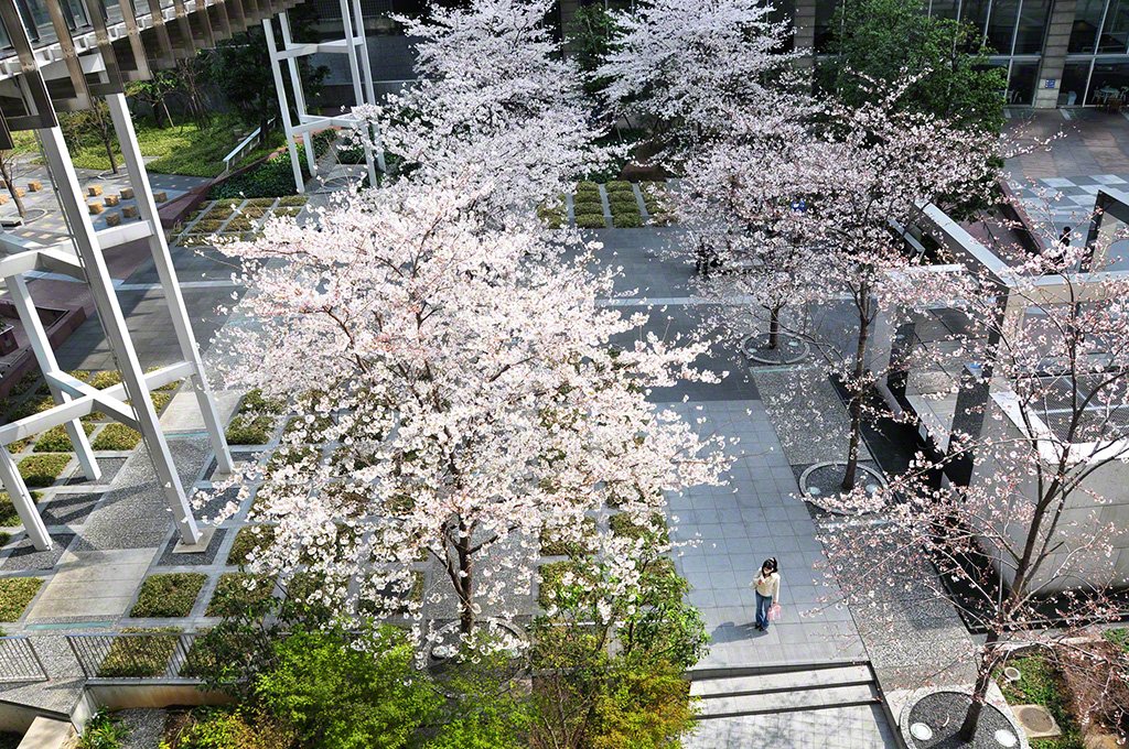 Kônan, Minato-ku, Tokyo