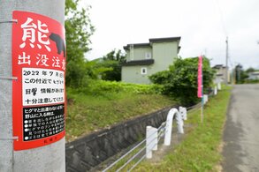 札幌市内の「熊出没注意」の張り紙(PIXTA)