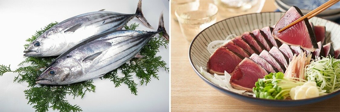 Katsuo (bonito) (left) and seared katsuo tataki, served with soy sauce, garlic, and negi onions. (© Pixta)