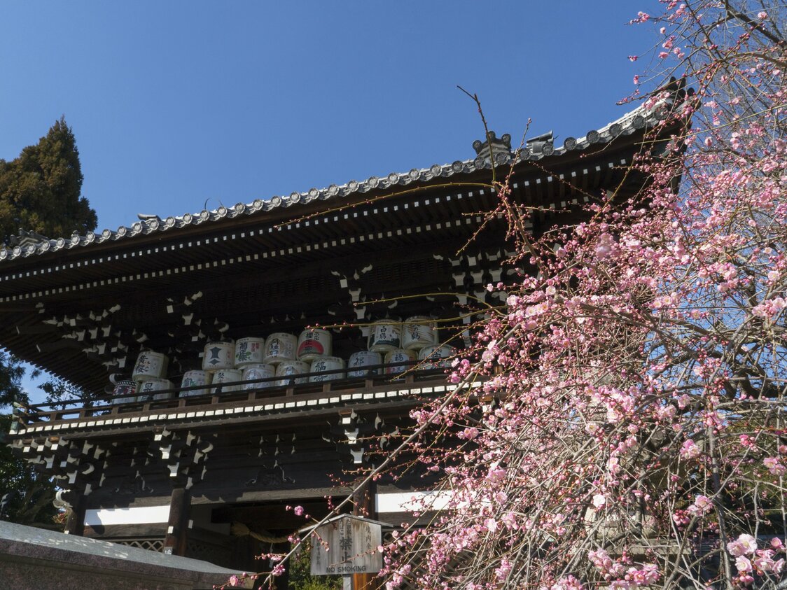 由于神社还护佑清酒酿制，因此楼门上摆满了大酒桶