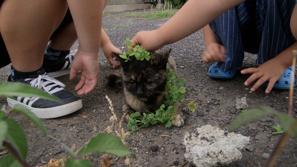 牛窓の猫は子どもに触られても平気　© 2024 Laboratory X, Inc