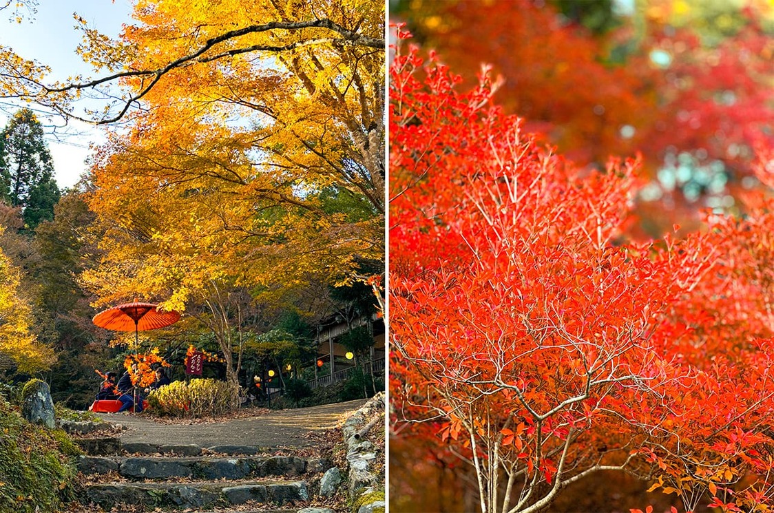 前往神护寺途中（左）、神护寺红叶