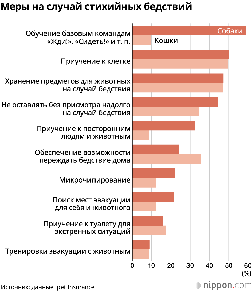 Что делать с домашними любимцами во время стихийного бедствия? Данные опроса показывают: не все владельцы готовы ответить на этот вопрос