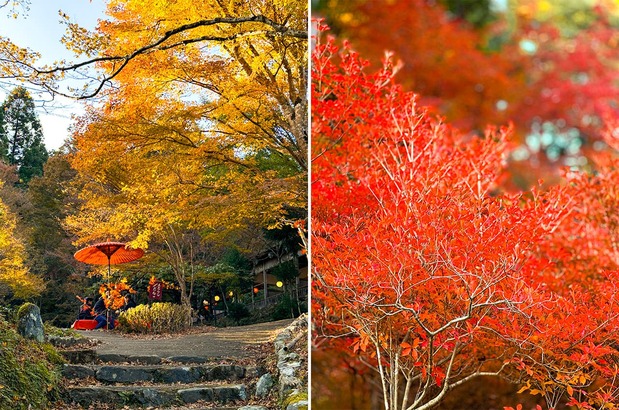 前往神护寺途中(左)、神护寺红叶
