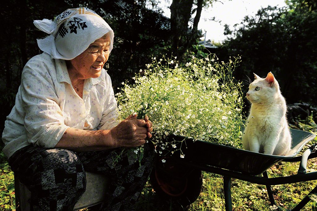 [Фото] Бабушка и кот: радость каждого дня