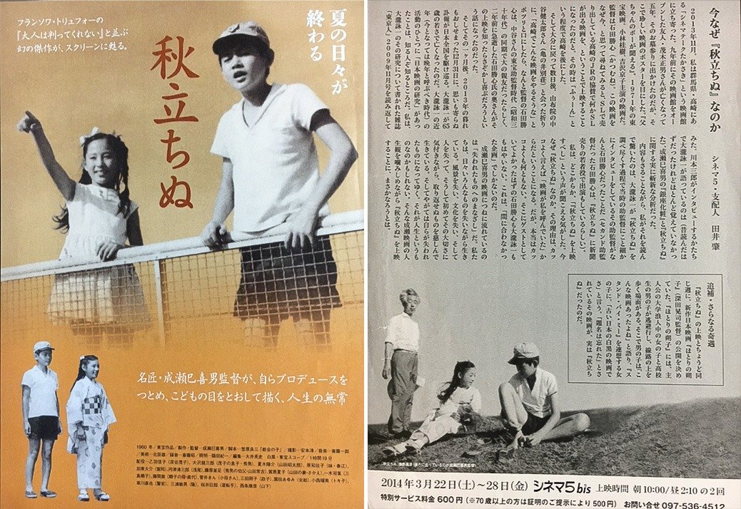 「秋立ちぬ」劇場公開に合わせて作成されたシネマ5のオリジナルチラシ